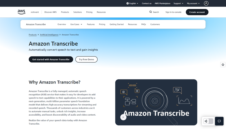 amazon illustration